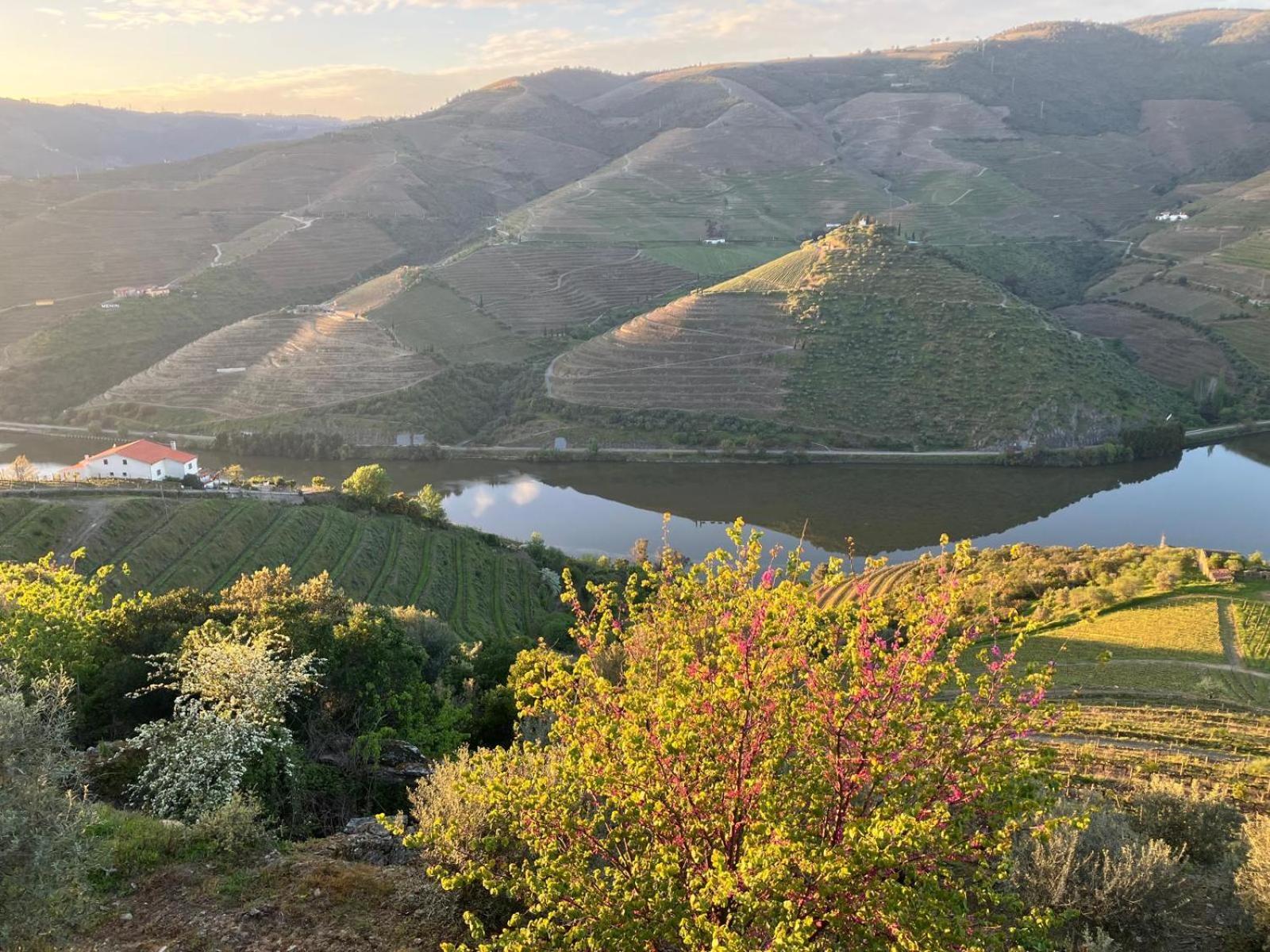 Placido Hotel Douro - Tabuaço Zewnętrze zdjęcie